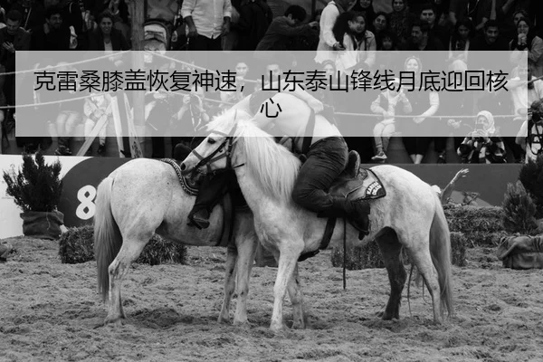 ke-lei-sang-xi-gai-hui-fu-shen-su-shan-dong-tai-shan-feng-xian-yue-di-ying-hui-he-xin-2-430.jpg